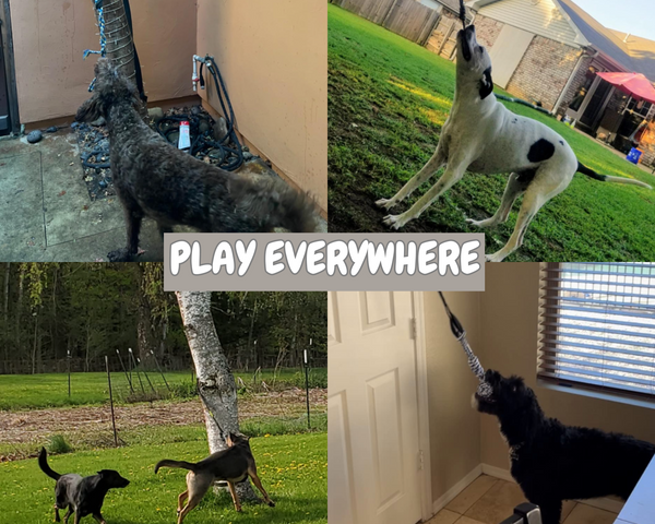 LeapFun™ – Interaktives Hundespielzeug für endlosen Springspaß