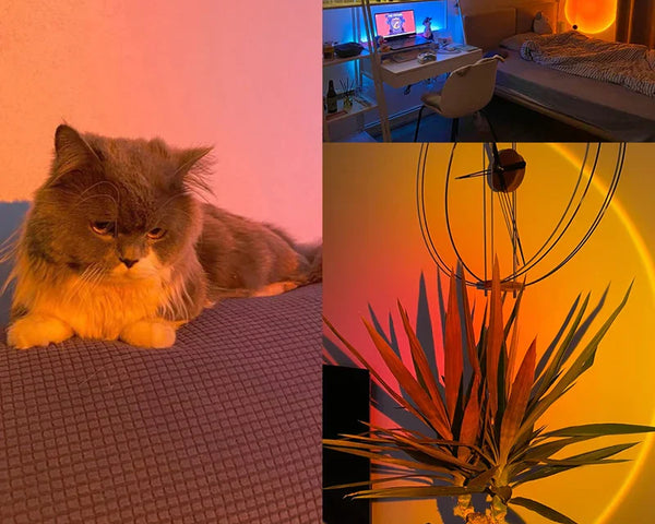 LightSphere™ – Erschaffen Sie die perfekte Sonnenuntergangsatmosphäre zu Hause
