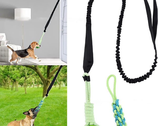 LeapFun™ – Interaktives Hundespielzeug für endlosen Springspaß