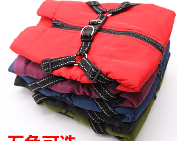 Perfekte Hundeweste für Komfort & Schutz – Ideal für jedes Wetter