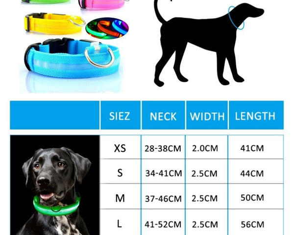 LED-Aufladbare Hundehalskette – Sicherheit und Stil für Ihren Hund