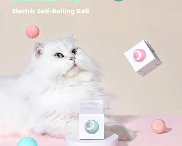 KittyPlay™ – Das ultimative Spielzeug für glückliche und aktive Katzen | 50% RABATT