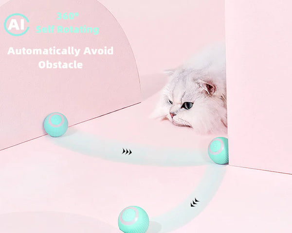 KittyPlay™ – Das ultimative Spielzeug für glückliche und aktive Katzen | 50% RABATT