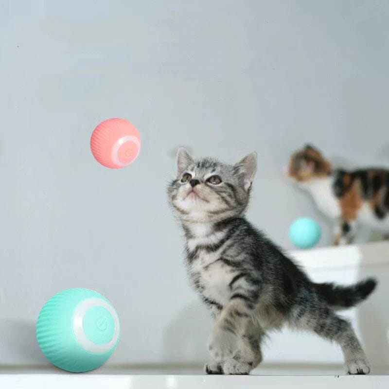 50% RABATT | KittyBall - Elektrisches selbstrollendes Katzenspielzeug [Letzter Tag Rabatt]