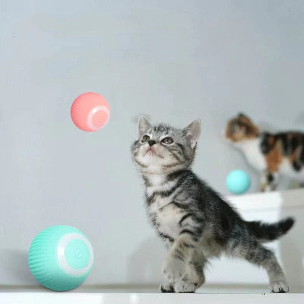 50% RABATT | KittyBall - Elektrisches selbstrollendes Katzenspielzeug [Letzter Tag Rabatt]