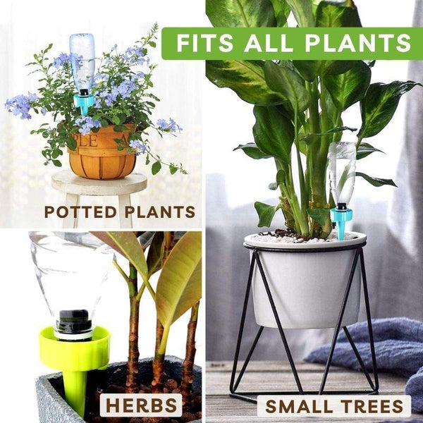 EasySpike™ - Automatischer Pflanzengießer für müheloses Bewässern! | Jetzt 5+5 Gratis sichern