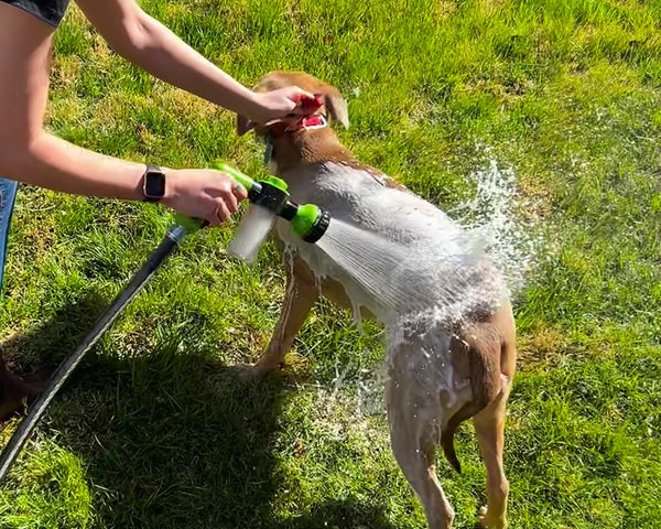 PetClean™ – Schnelle und einfache Reinigung für Ihr Haustier