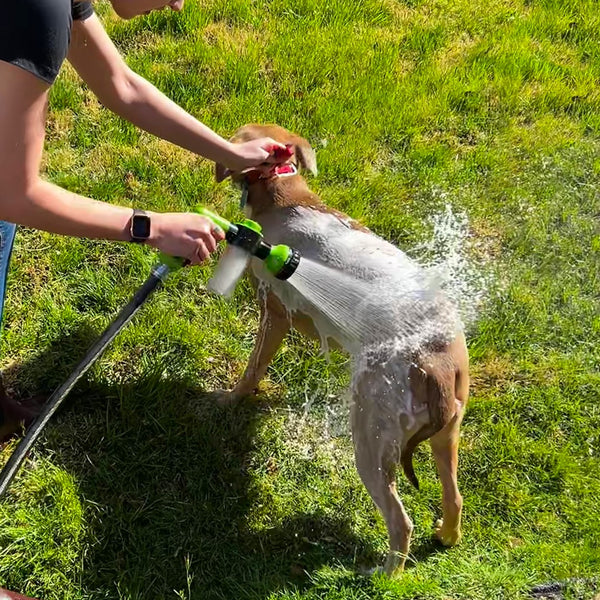 PetClean™ – Schnelle und einfache Reinigung für Ihr Haustier
