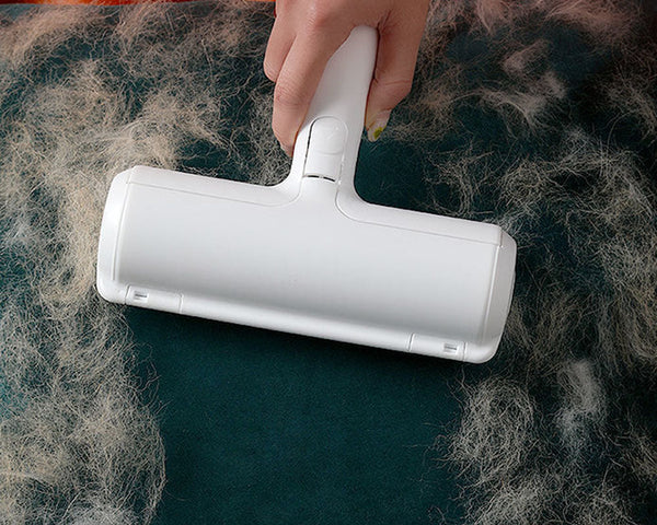 Effektiver Haustierhaar-Entferner | Tierhaare mühelos beseitigen