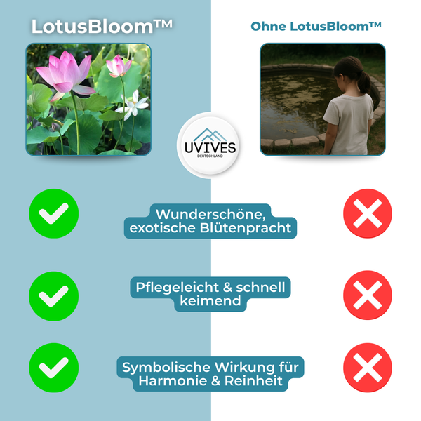5+5 GRATIS | LotusBloom™ – Magische Blütenpracht für deinen Teich