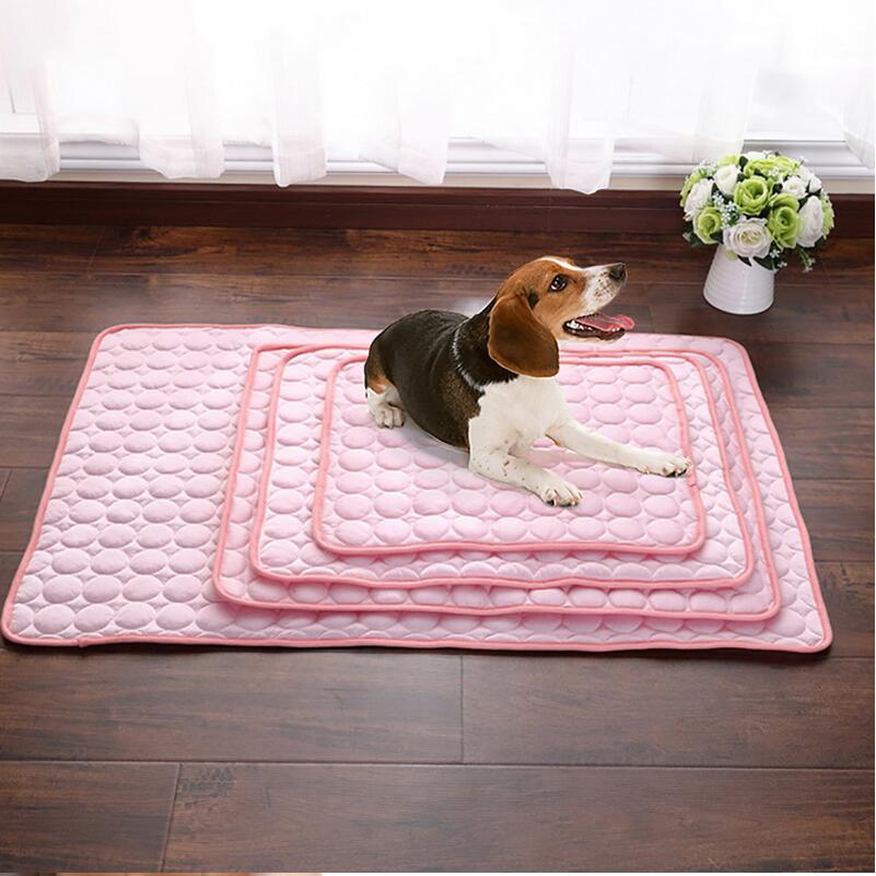 🐾 50% RABATT! ❄️ Premium Kühlmatte für Hunde & Katzen
