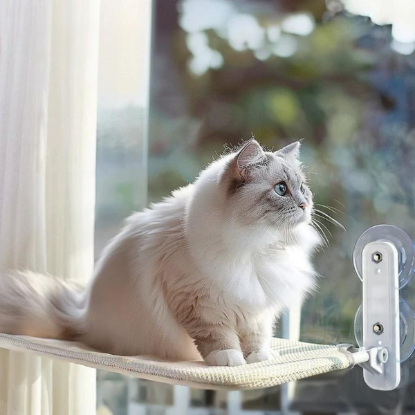 CatsHeaven - Faltbare Hängematte für Katzen [Letzter Tag Rabatt]