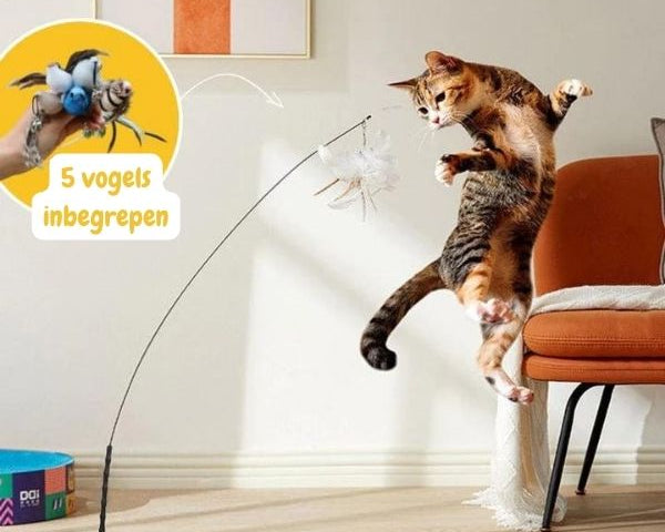 MeowFeather Toy - Interaktives Katzenspielzeug mit Federn [Letzter Tag Rabatt]