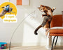 MeowFeather Toy - Interaktives Katzenspielzeug mit Federn [Letzter Tag Rabatt]
