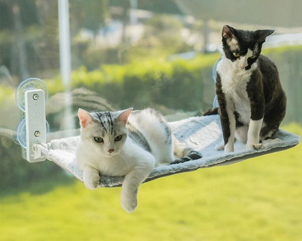 CatsHeaven - Faltbare Hängematte für Katzen [Letzter Tag Rabatt]