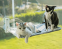CatsHeaven - Faltbare Hängematte für Katzen [Letzter Tag Rabatt]