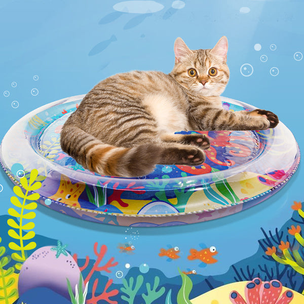 AquaPaws – Das ultimative Spielvergnügen für Katzen