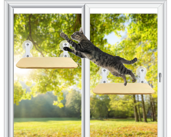 SkyPerch – Die perfekte Fenster-Hängematte für Katzen!
