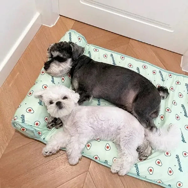 50% RABATT | CoolPetty™ - Kühlmatte aus Eis-Seide für Hunde und Katzen [Letzter Tag Rabatt]