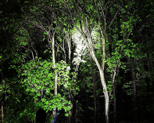 Saber™ LED-Taschenlampe