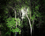 Saber™ LED-Taschenlampe