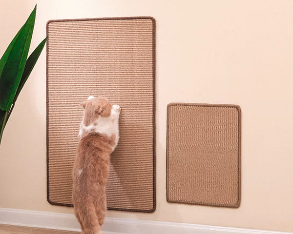 Scratchy™ – Der perfekte Kratzspaß für deine Katze und deine Möbel!