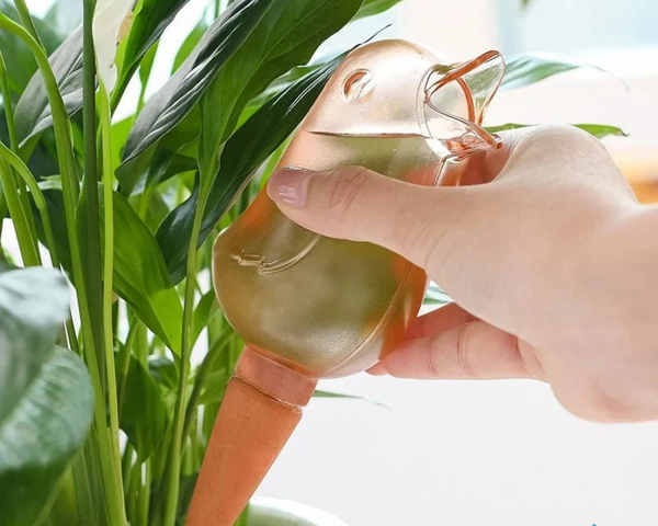 2+1 GRATIS | BloomFeeder™ - Automatischer Blumengießer