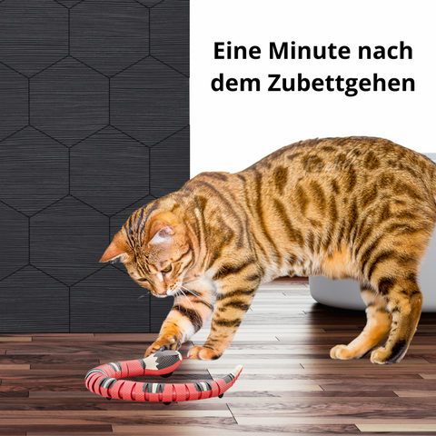 Snaky™ - Interaktives Katzenspielzeug in Form einer Schlange