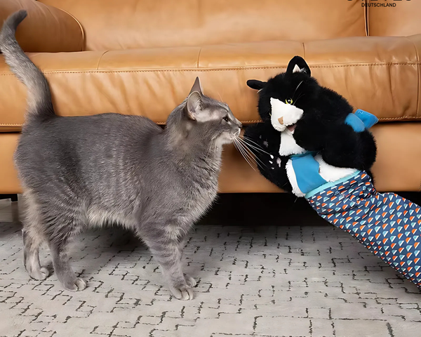 PawGlove™ - Interaktives Katzenspielzeug für sicheres Spielen!