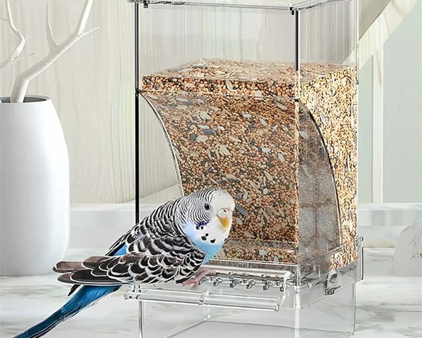 BirdFeed – Saubere Fütterung, zufriedene Vögel, weniger Aufwand