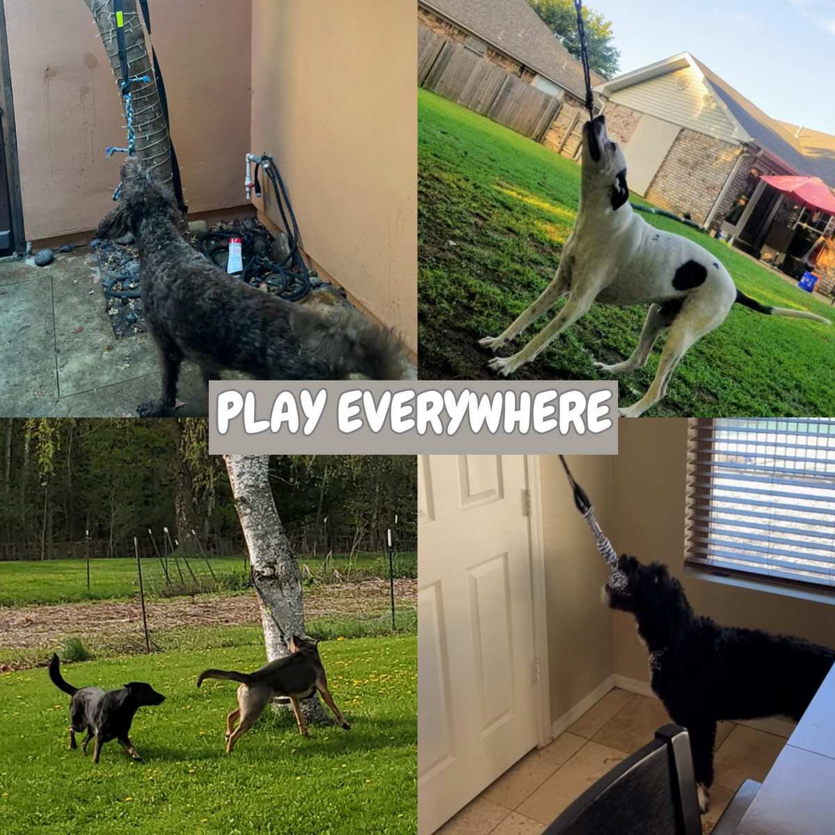 LeapFun™ – Interaktives Hundespielzeug für endlosen Springspaß