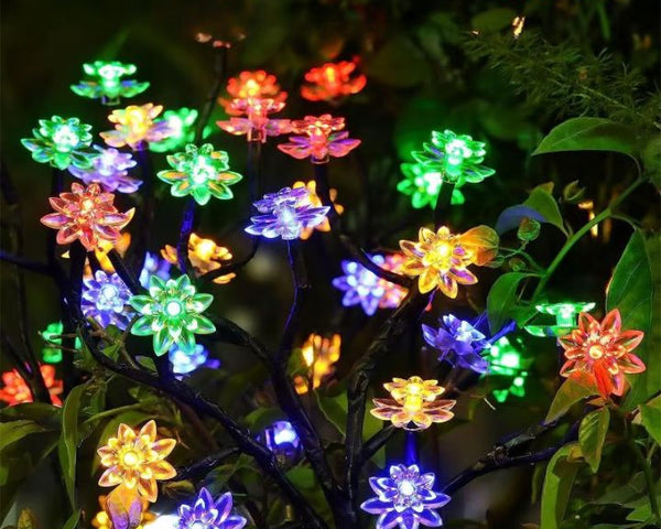 BlossiLight – Verwandelt jeden Garten in ein Blütenparadies