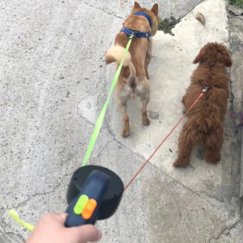 UltraTangle™ - Kein Verheddern mehr beim Spaziergang mit Ihrem Hund