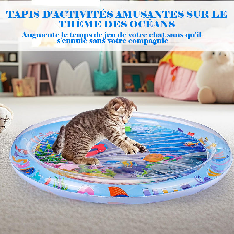 AquaPaws – Das ultimative Spielvergnügen für Katzen