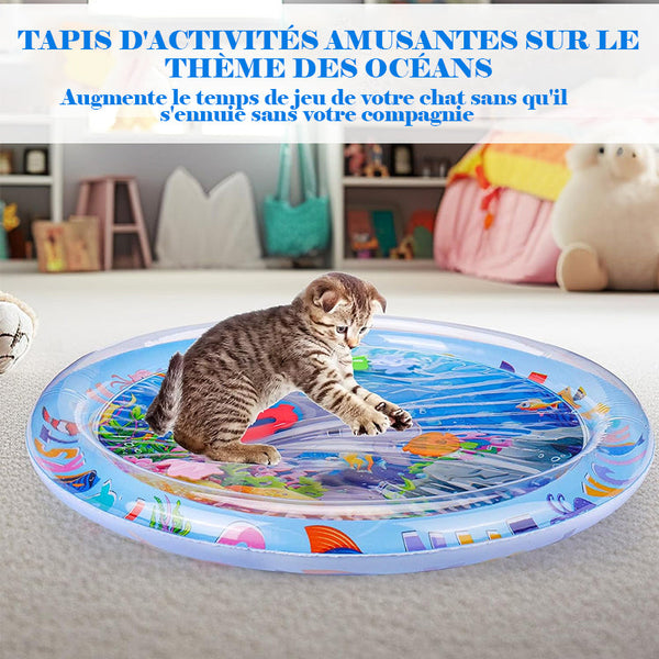 AquaPaws – Das ultimative Spielvergnügen für Katzen