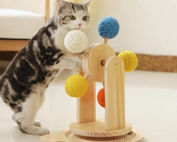 PawTastic - Lassen Sie Ihre Katze spielen und kratzen [Letzter Tag Rabatt]