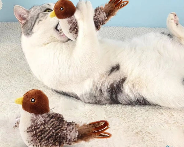 PurrTweet™ - Interaktives zwitscherndes Vogelspielzeug für Katzen