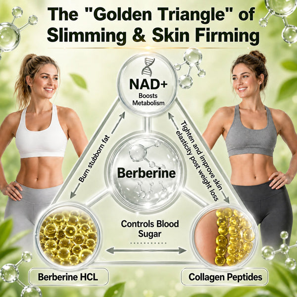 1+1 GRATIS | VitaNeedle™ Tägliches Wellness-Mikronadelpflaster – Komfortable Unterstützung für Ihre tägliche Wellness-Routine