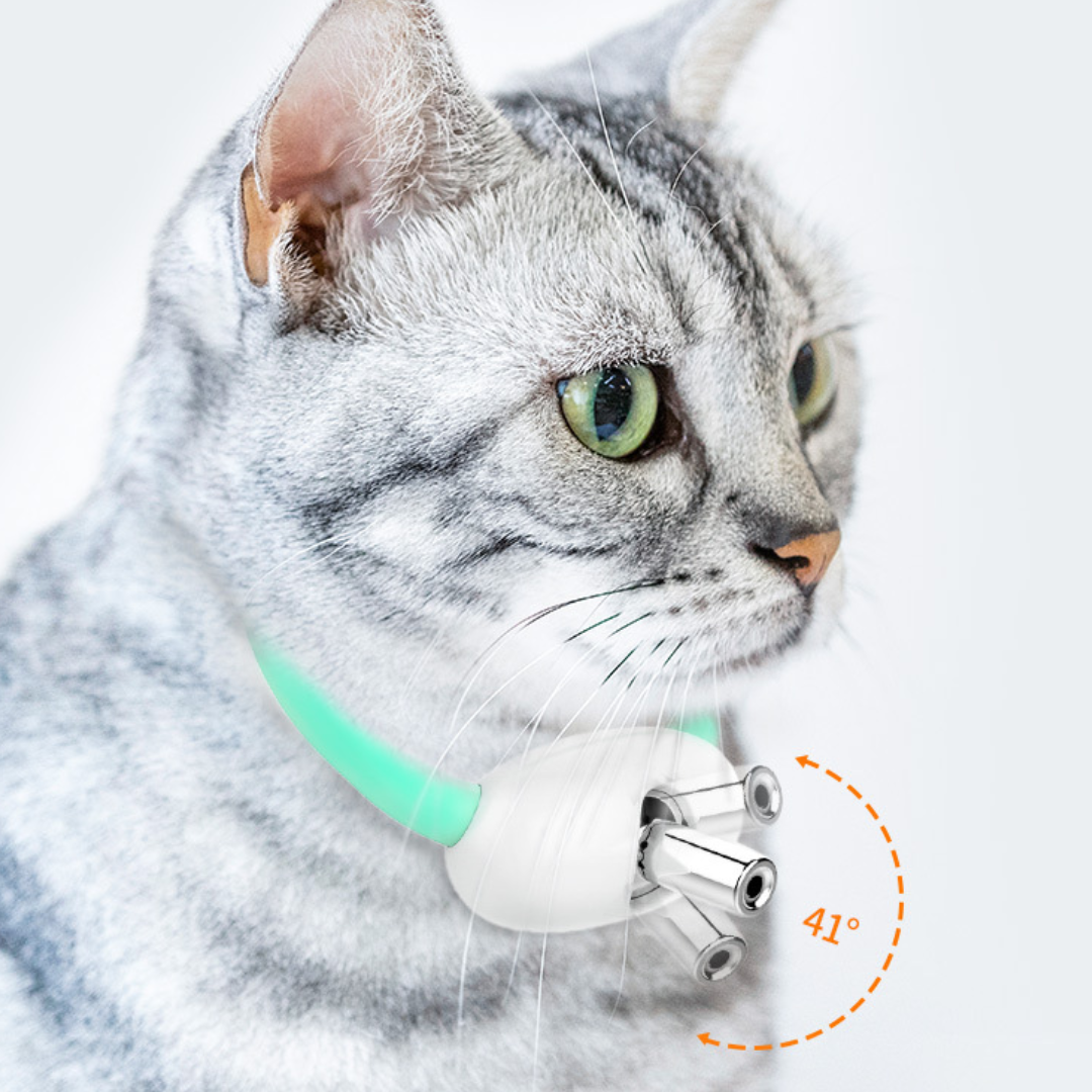 FurryFlash - Katze Halsband Laser Licht Spielzeug – Endloser Spaß für Ihre Katze