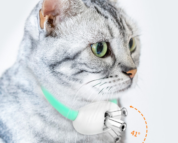 FurryFlash - Katze Halsband Laser Licht Spielzeug – Endloser Spaß für Ihre Katze