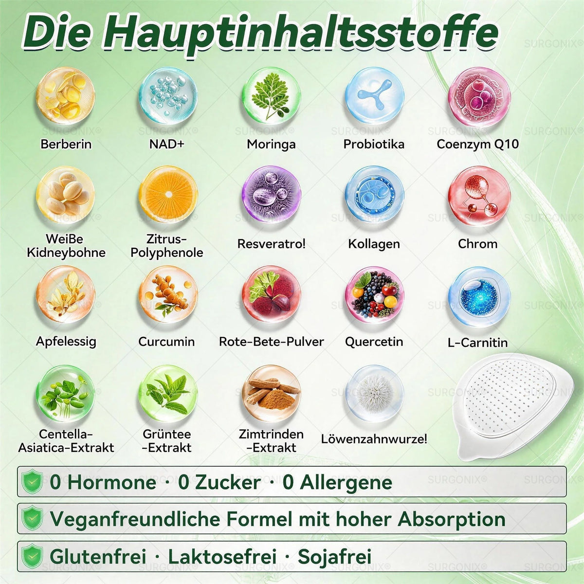 𝗠𝗼𝗿𝗶𝗻𝗴𝗮 · 𝗕𝗲𝗿𝗯𝗲𝗿𝗶𝗻 & NAD+ 10-in-1 Fortschrittliches Nano-Mikronadel-Pflaster – Für die tägliche Unterstützung von Stoffwechsel und Herz-Kreislauf-Gesundheit