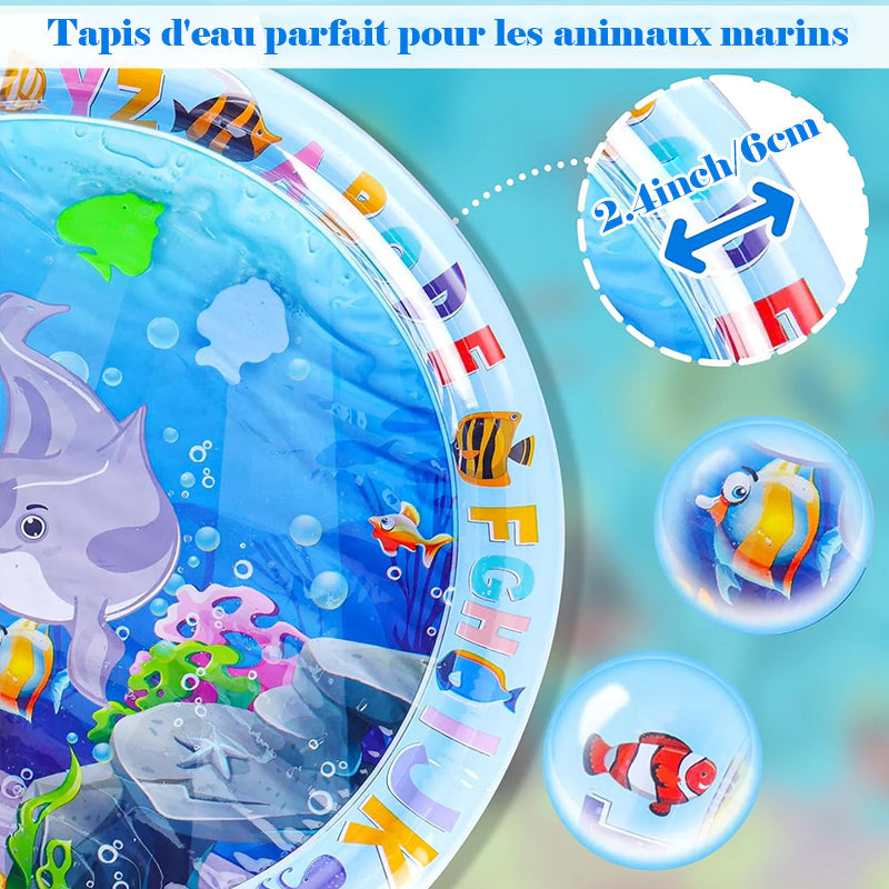 AquaPaws – Das ultimative Spielvergnügen für Katzen