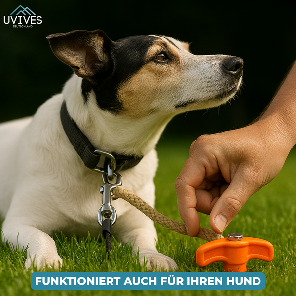 2+2 GRATIS | DrillPeg™ – Zelt sicher verankern in Sekunden