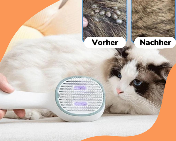 KITTINIS - LUXBRUSH® (UV-Zeckenbürste) | 50% RABATT!
