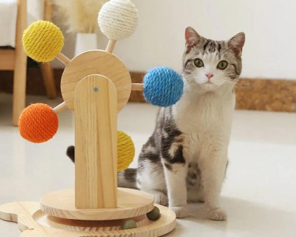 PawTastic - Lassen Sie Ihre Katze spielen und kratzen [Letzter Tag Rabatt]
