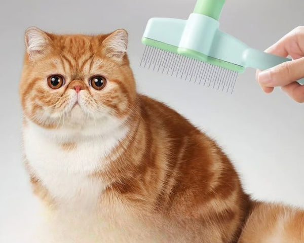 1+1 GRATIS | FurSweep™ – Entfernt Flöhe &amp; loses Fell mit nur einem Klick!