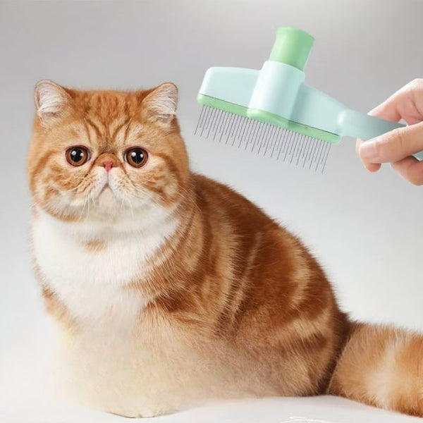 1+1 GRATIS | FurSweep™ – Entfernt Flöhe &amp; loses Fell mit nur einem Klick!