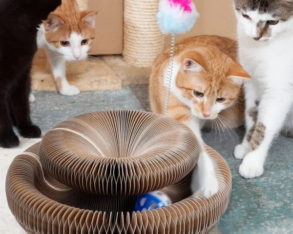 PetStory™ - Interaktives Katzenspielzeug für stundenlangen Spielspaß
