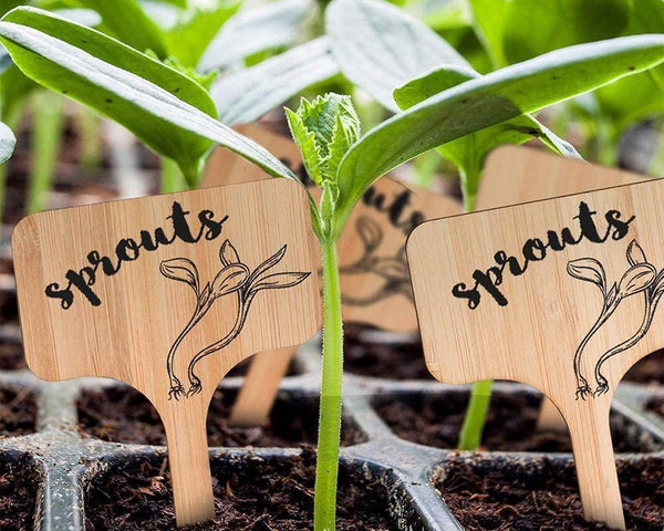PlantSign – Pflanzenschilder aus Bambus für Garten & Deko