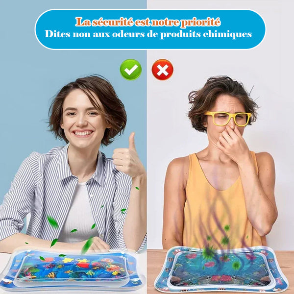 AquaPaws – Das ultimative Spielvergnügen für Katzen